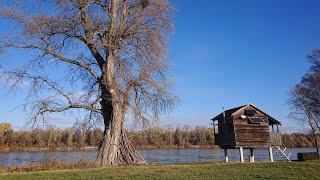 4/4 Jakobsweg Carnuntum (Fischamend - Schwechat)