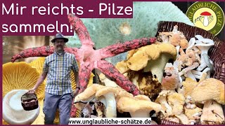 Voller Korb, Wald und Pilze  = gute Laune! Stress bekämpfen, entspannen! Pilze suchen im Juli 2024