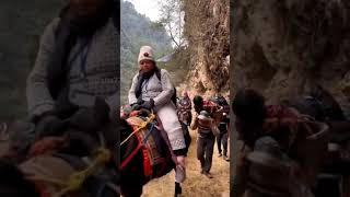 Gruelling horseback ride up and down Kedarnath#subscribe #hindupilgrimage #shortsvideo