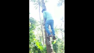 kids can climb tree using this tool 2018 | you never seen before