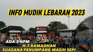 Bus Sumbar Di Terminal Kalideres