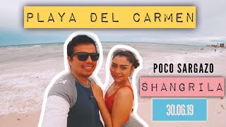 🇲🇽PLAYA DEL CARMEN - ACCESO SHANGRILA -POCO SARGAZO ( 30 de Junio 2019)