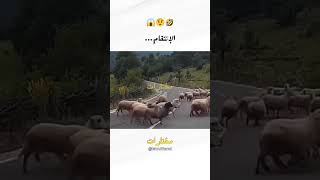 معنى الإنتقام