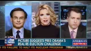 Simon Rosenberg on Megyn Kelly Discussing Obama's Support From Private Sector