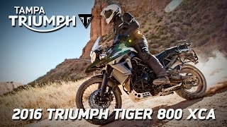 2016 Triumph TIGER 800 XCA at Tampa Triumph