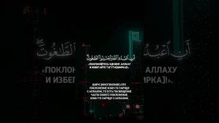 Сура 16 Ан-Нахл.аяты 36-39  |Чтец: Мухаммад Аль-Люхайдан | #quran #islam