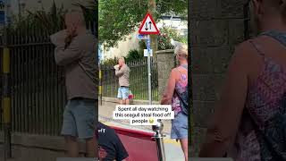 Man video recording from his car, a seagull stealing peoples food in the day time.