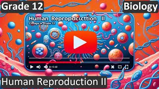 Grade 12 | Biology | Human Reproduction II | Free Tutorial | CBSE | ICSE | State Board