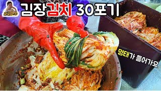 김장김치 30포기 맛있게 담그는 방법 feat 명태 들어간 김치