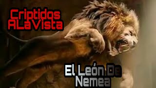 El León De Nemea | Mito o Posible Criptido | Criptidos A La Vista