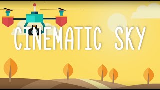 We are Cinematic Sky - drone specialists