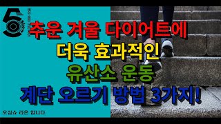 추운 겨울 다이어트에 더욱 효과적인 유산소 운동 계단오르기 방법 3가지!