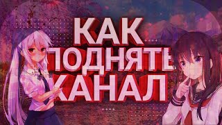 КАК СТАБИЛИЗИРОВАТЬ КАНАЛ НА YOUTUBE, РАСШИРЕНИЕ VIDIQ