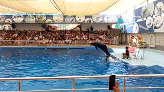 Aksu Dolphinarium Antalya - Dolphins Show | Part 2