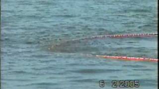 2005 Barataria Bay fishing.avi