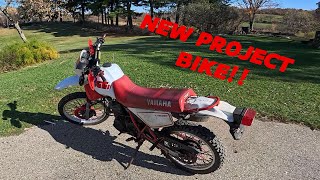 Bought An XT350 To Teach Dad How to Ride! HE LOVED THE BIKE!