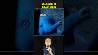 ANAK GAJAH INI BERMAIN SIRKUS