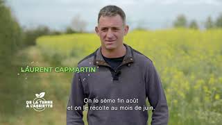 De la terre à l'assiette - Épisode 80 - La production de colza bio en Occitanie