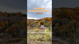 Fall colors at Evergreen Brick Works #toronto #canada #fallseason #fall2024 #evergreenbrickworks