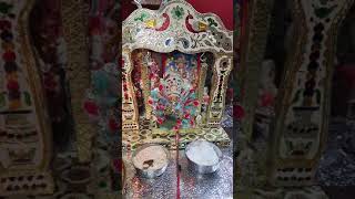 Happy Janamashtmi Shri Krishna Govind Hare Murare #shorts #janamashtmi #shortvideo