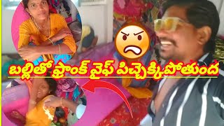 బల్లితో ఫ్రాంక్ వైఫ్ పిచ్చెక్కిపోతుంది వీడియో #prankwife #crazygril #tiktokviral #virlprnk