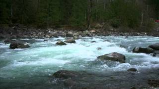 Chilliwack_River - April_08_2012 (photos).wmv