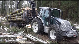 Logging in winter forest with Valtra A124 forestry tractor