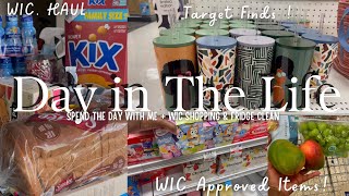 DAY IN THE LIFE: WIC SHOPPING + FRIDGE CLEAN