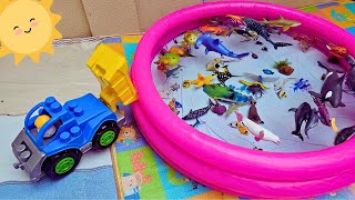 SEA ANIMALS TRUCK FOR TODDLERS: SAILFISH, LOBSTER, MANTA RAY, BEAKED WHALE, AND MORE