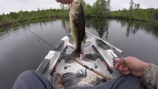 Kayak Fishing for Bass Using Senkos on an Overcast Morning (My Plan B)