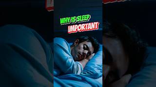 4 Reasons Why We Sleep