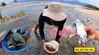 Săn bắt hải sản mùa nước cạn gặp được ghẹ xanh - sò phi - ốc giấm siêu to bắt và nấu ăn cực ngon