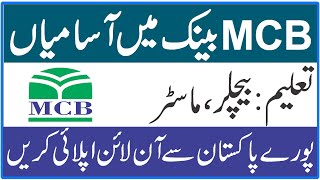 MCB bank jobs online apply 2022 || MCB bank jobs 2022