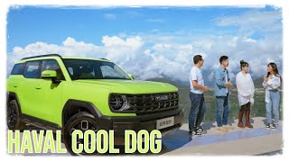 Haval Cool Dog 2022 за 1.1 миллиона рублей приедет в Россию?