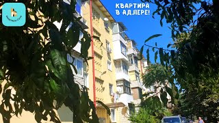 Хорошая квартира в центре Адлера для жизни в Сочи #Квартиравсочи #Сочи #Адлер #ЖитьвСочи #инвестсочи