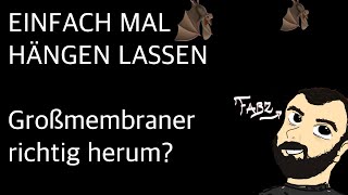 Einfach mal hängen lassen - Großmembran Mikros hängen oder nicht?