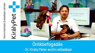 Örökbefogadás