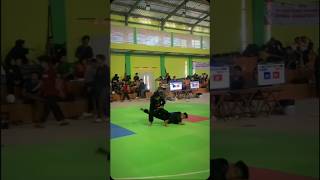 Story Pencak Silat Keren Terbaru 2024 #shorts #silat #ipsi  #psht #fyp