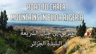 Road to Chrea mountains in Blida #Algeria الطريق إلى جبال الشريعة في البليدة #الجزائر