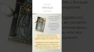 🌙 КАРТА ДНЯ 28 ОКТЯБРЯ #tarotube #tarot #таро #картытаро #картадня