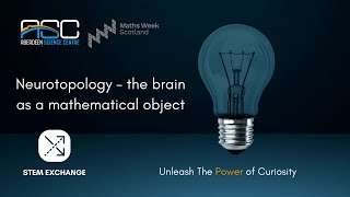 The Brain as a Mathematical Object