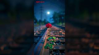 Moonlight beauty on tracks 🌙 #chandchupabadalmain #night #moon #songs #trending #shorts