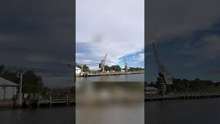 A ride on the Rydalmere Ferry! #fyp