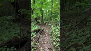 Early Autumn Hike (Baltimore Woods) #virtualhike #fallhiking #getoutside