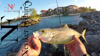 Pescando en Riviera Maya de orilla gran experiencia