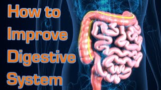 How to Improve Digestive System || نظام انہضام