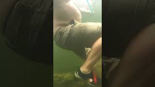 Scuba Diving: Underwater Alligator Prank!