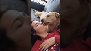 These Dog KISSES Led To a HORRIFIC Turn Of Events! *NEVER AGAIN* #reaction