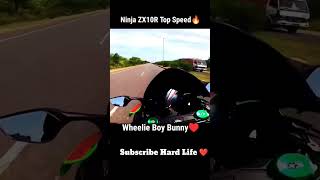 Ninja Zx10r Top speed 🔥 Wheelie Boy Bunny ❤️ #viral #ytshorts #tranding #viralvideo #shorts #zx10r