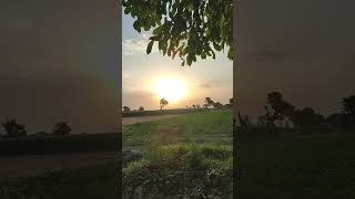 #sun rising | beautiful view in the field | birds sounds